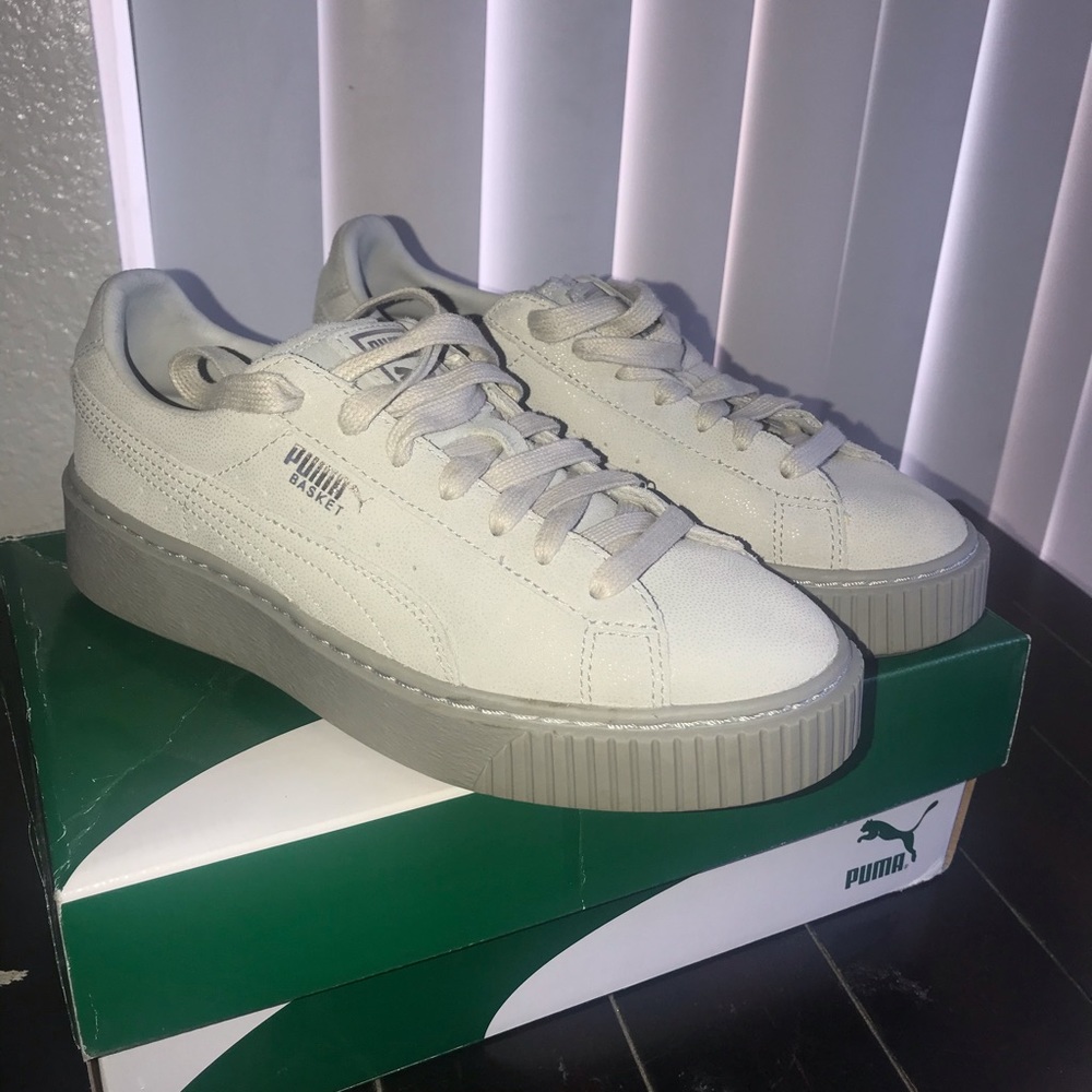 Gray Puma Creepers